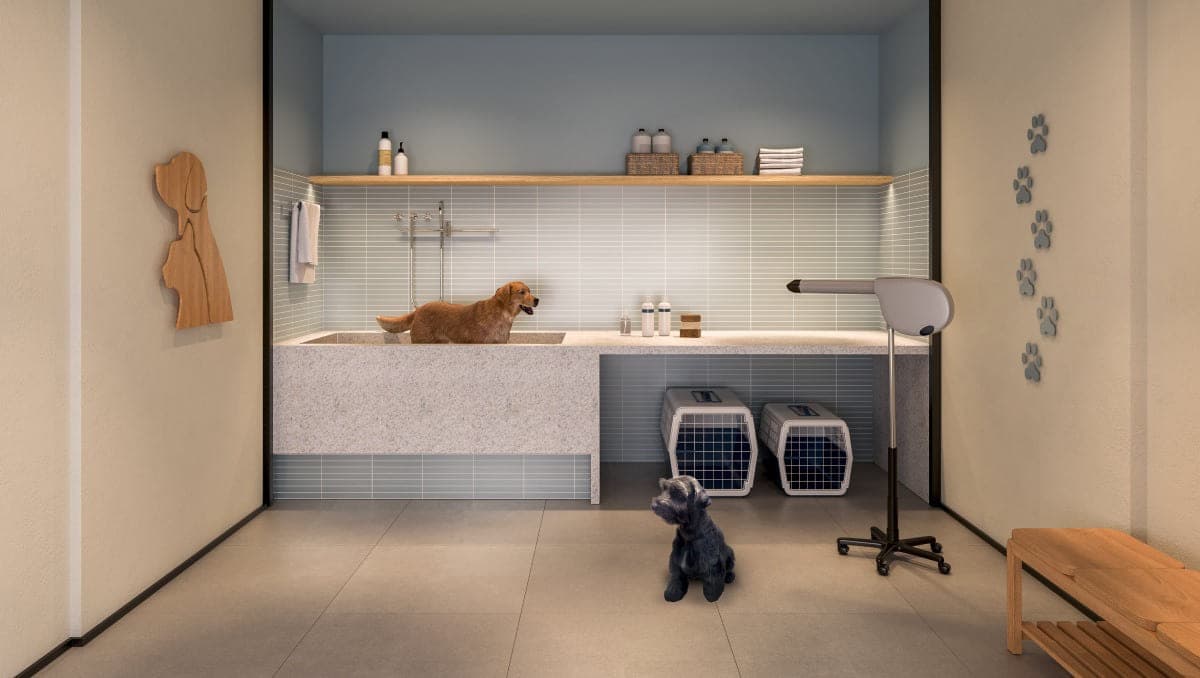 Sala de banho pet com bancada de banho, prateleiras, secador e caixas de transporte