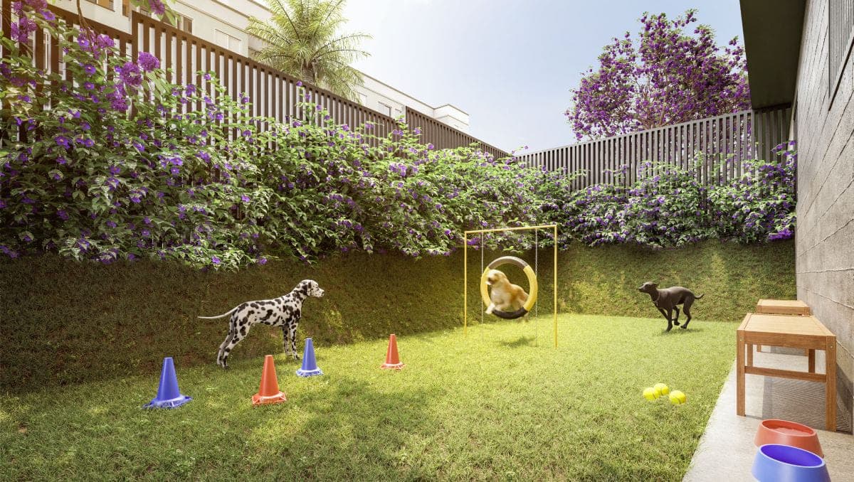 Pet place gramado e cercado, com obstáculos de agility, bebedouros e floreira ao fundo